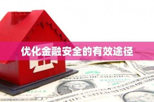崖州优化金融安全的有效途径