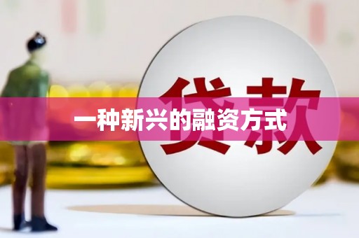 崖州一种新兴的融资方式