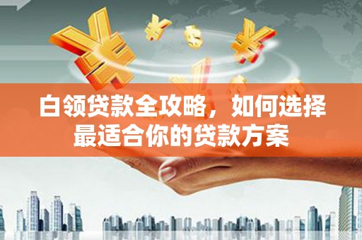 崖州白领贷款全攻略，如何选择最适合你的贷款方案