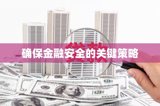 崖州确保金融安全的关键策略