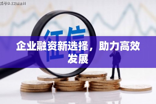 崖州企业融资新选择，助力高效发展