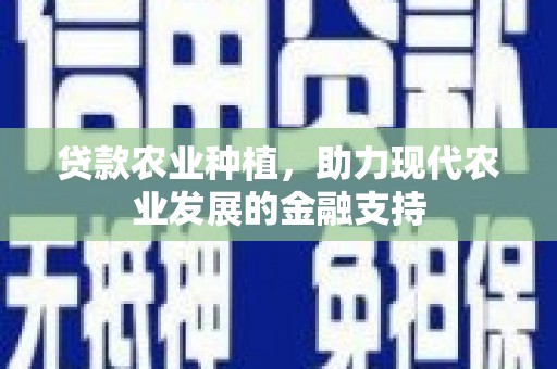 崖州贷款农业种植，助力现代农业发展的金融支持