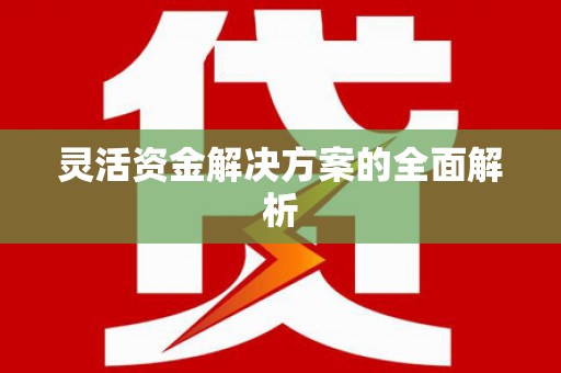 崖州灵活资金解决方案的全面解析