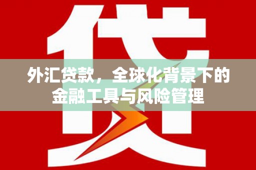 崖州外汇贷款，全球化背景下的金融工具与风险管理