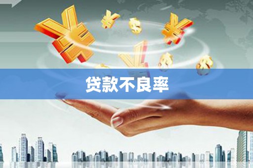 崖州贷款不良率