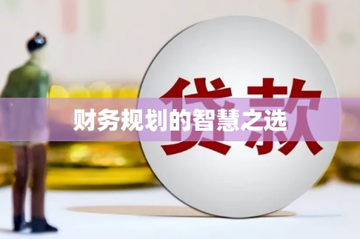 崖州财务规划的智慧之选