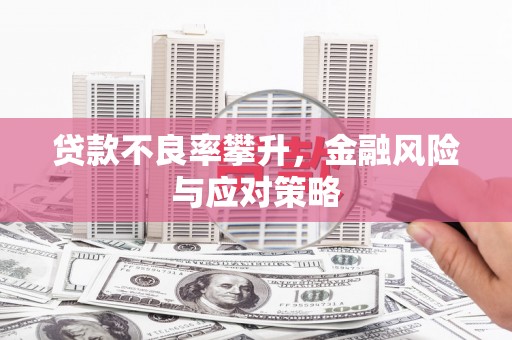 崖州贷款不良率攀升，金融风险与应对策略