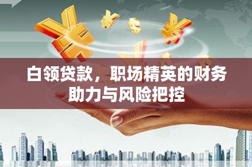 崖州白领贷款，职场精英的财务助力与风险把控