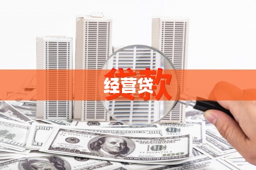 崖州经营贷