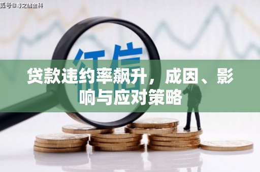崖州贷款违约率飙升，成因、影响与应对策略